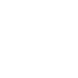 Bose-1