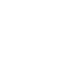 Tannoy-1